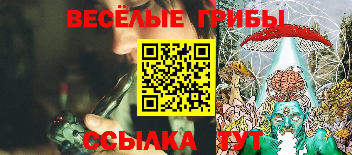 Галлюциногенные грибы мицелий Сафоново